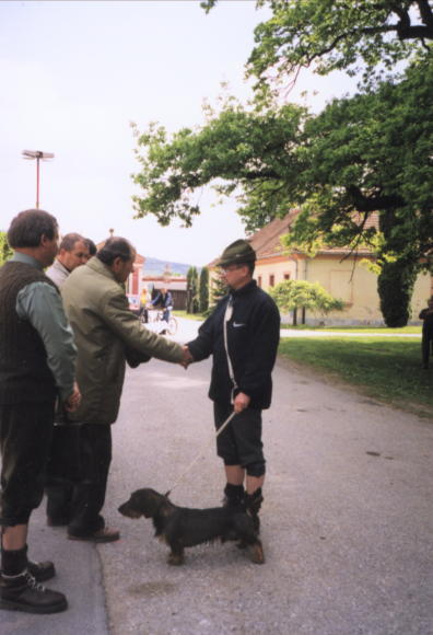 hary10.jpg