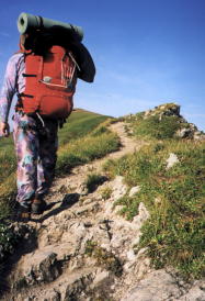 fatra13.jpg