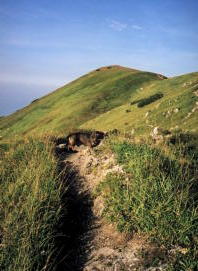 fatra15.jpg
