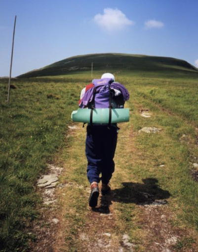 ntatry3.jpg