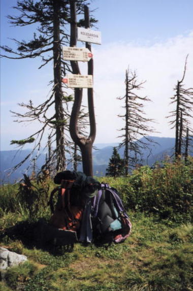 ntatry10.jpg